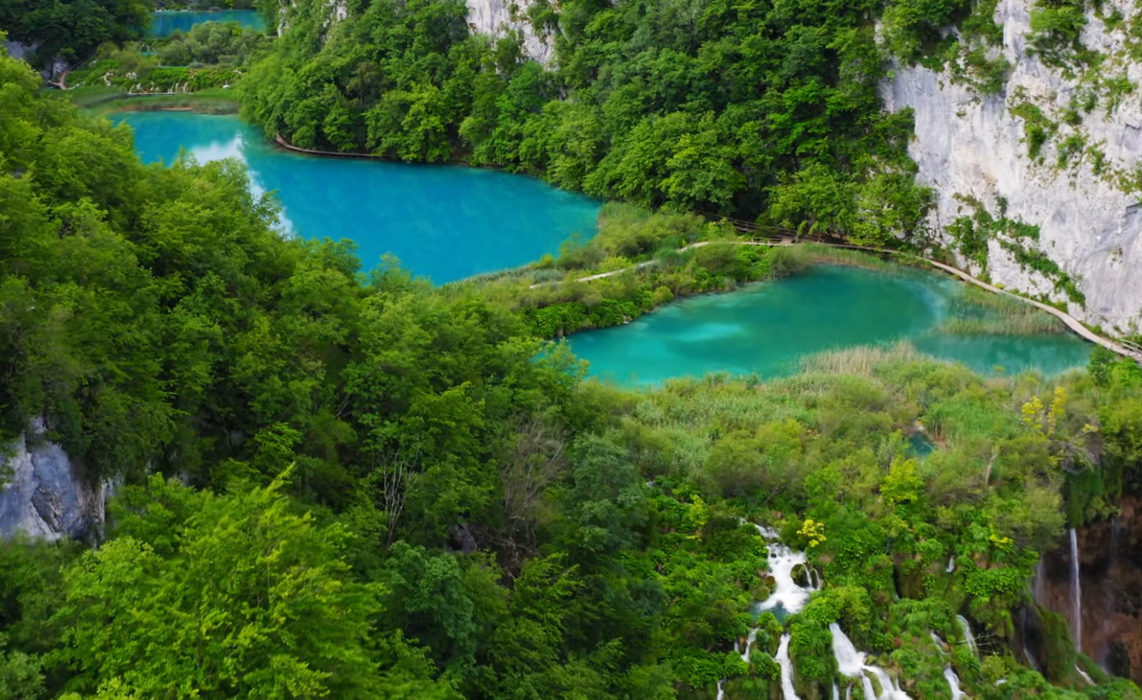 video-banner-image